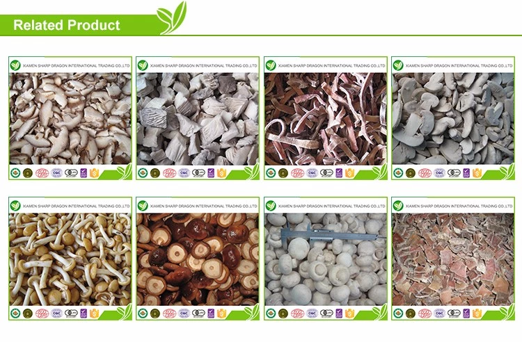product-664-448 product-664-448