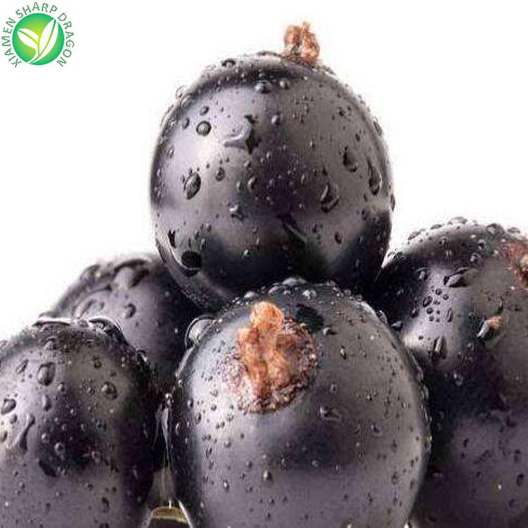 frozen black currant wholesale price 