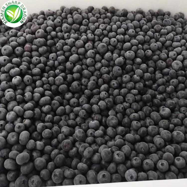 bulk IQF blueberries for retail frozen fruit packing