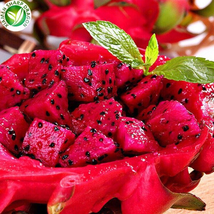 IQF frozen dragon fruit pieces for smoothie and dessert