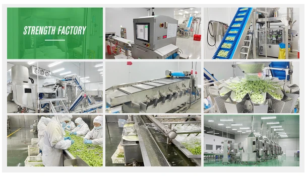 Frozen Tilapia Packaging Support Frozen tilapia whole fish packaging and cold chain shipment support
