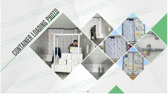 Frozen Tilapia Export Support Frozen tilapia export and OEM seafood buyer support