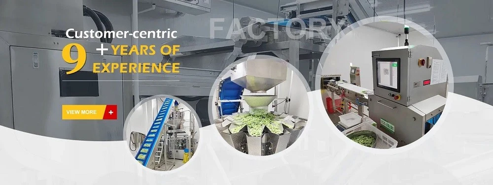 Frozen Dragon Fruit Factory Processing Frozen dragon fruit factory processing image