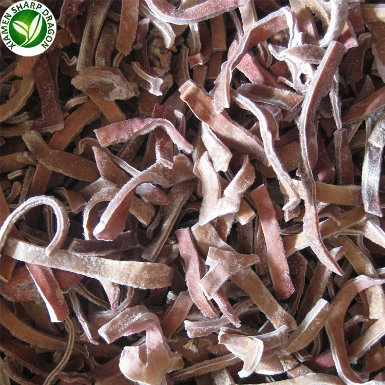 nail fungus nail fungus
