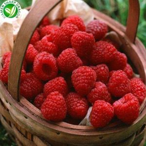 Замороженная малиновая цена