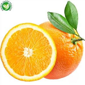 Апельсиновые свежие апельсины на продажу